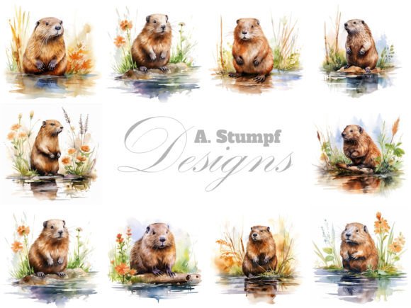 Beaver Clipart Watercolor Animal Bundle