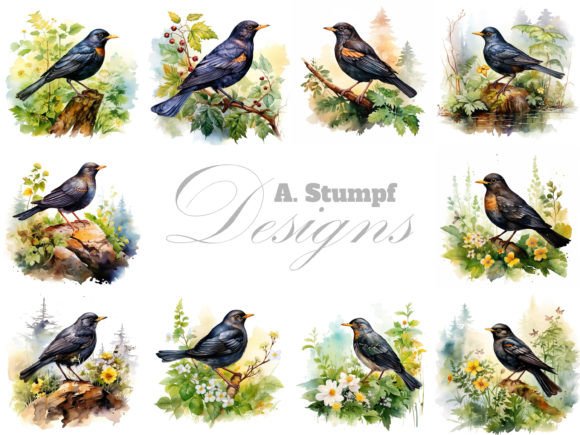 Blackbird Clipart Watercolor Bird Bundle