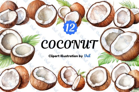 Coconut Clipart Watercolor Bundle for Branding and Design Work