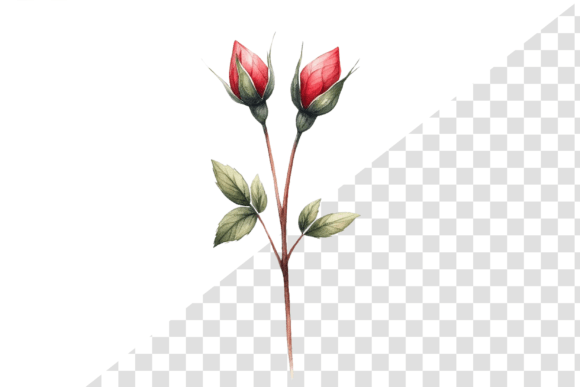 LoveSprout Watercolor Clipart
