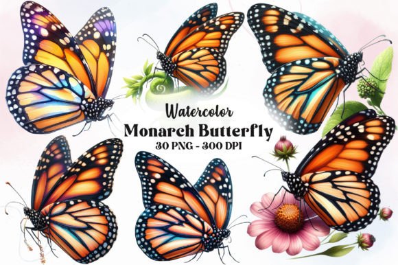 Monarch Butterfly Watercolor Clipart PNG