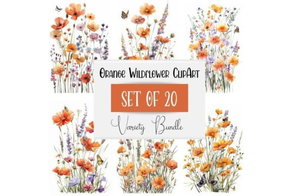 Orange Watercolor Wildflower Clipart for Design Projects