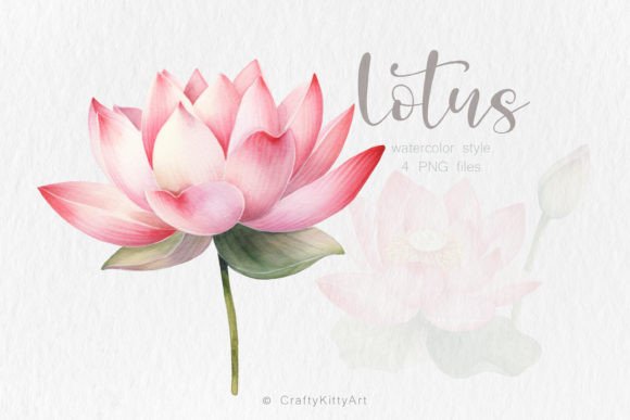 Pink Lotus Flower PNG Watercolor Bundle