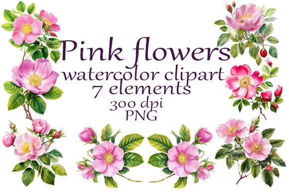 Roses Pink Watercolor Clipart PNG for Creative Projects
