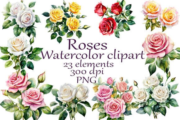 Roses Watercolor Clipart PNG