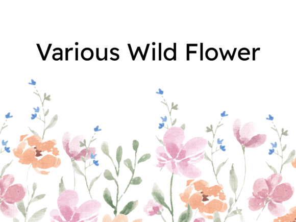 Various Wild Watercolor Flower Font Review