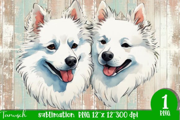 Watercolor American Eskimo PNG: A Designer's Asset for Warmth and Character