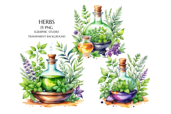 Watercolor Bottle and Herbs Clipart