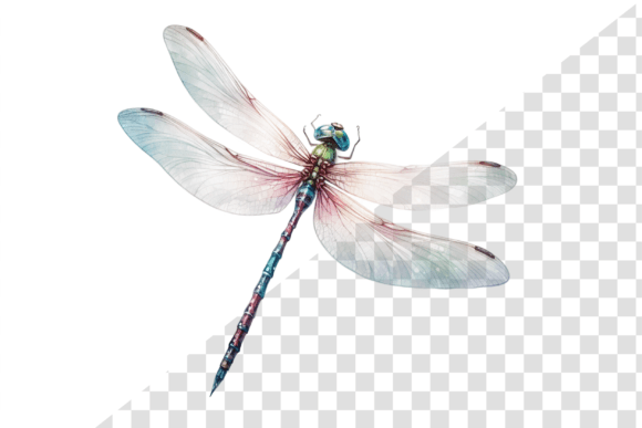 Watercolor Dragonfly Clipart: Delicate Art for Branding and Design