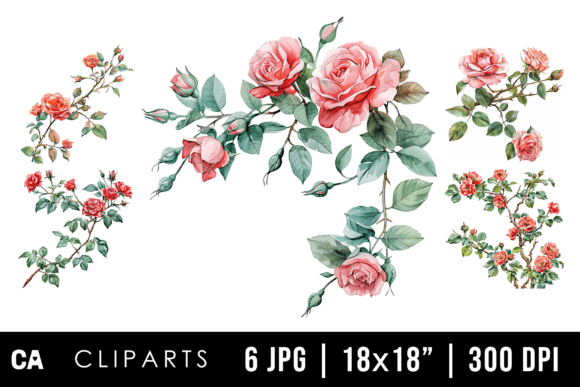 Watercolor Rose Flower Branch Cliparts for Modern Design